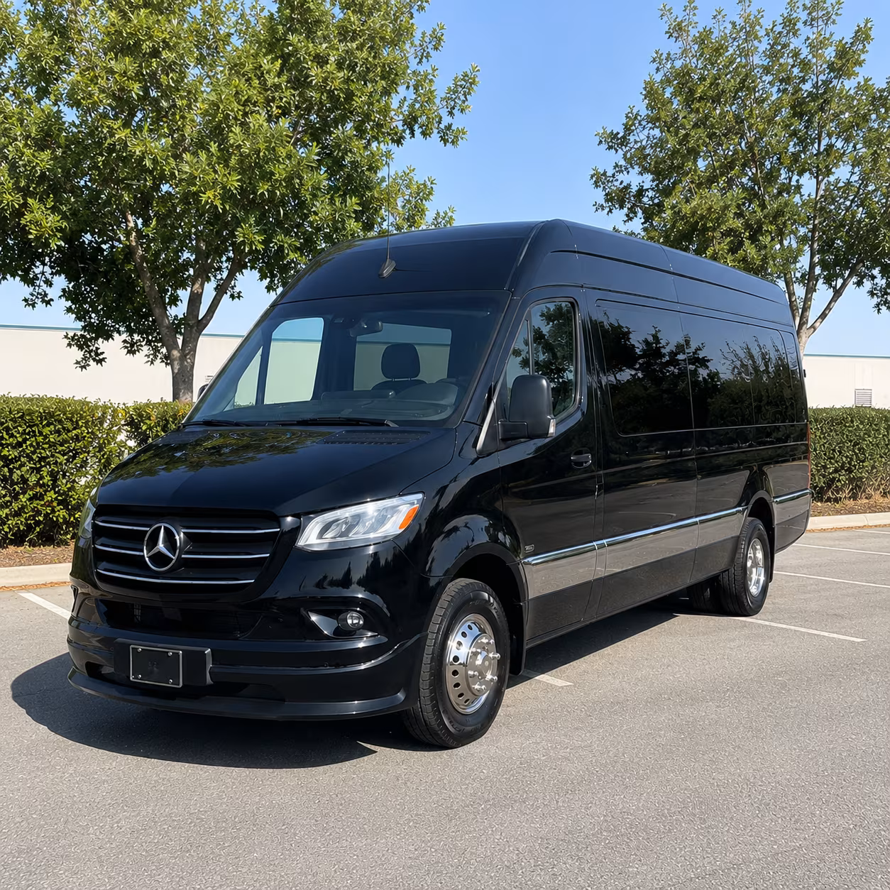 jupiter sprinter van with driver